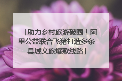 助力乡村旅游破圈！阿里公益联合飞猪打造多条县域文旅爆款线路